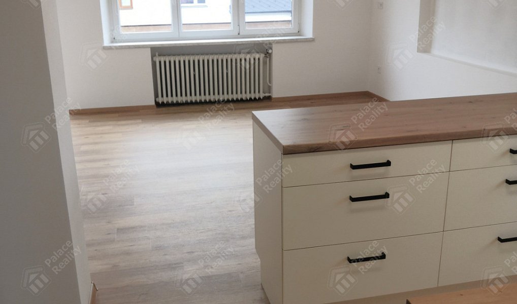 Pronájem bytu 3+kk 90 m², Hradec Králové – náhled fotky 4