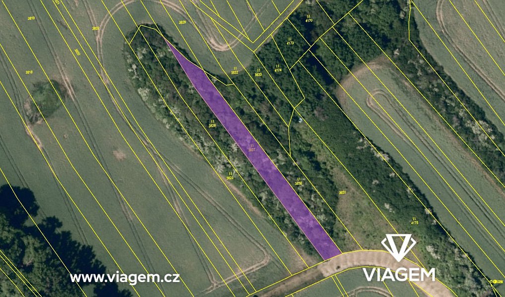 Prodej pole 595 m², Březolupy – náhled fotky 4