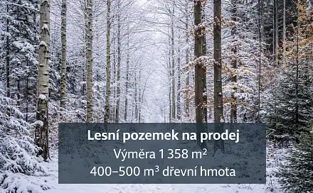Prodej lesa 1 358 m², Osvračín, okres Domažlice