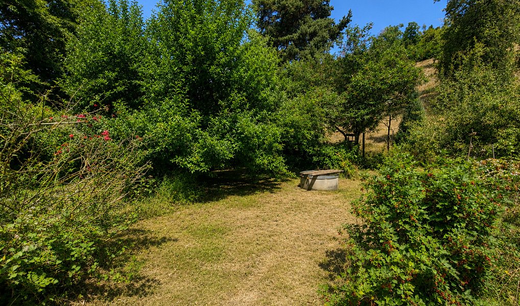Prodej chaty/chalupy 40 m² s pozemkem 445 m², Ohrozim – náhled fotky 5