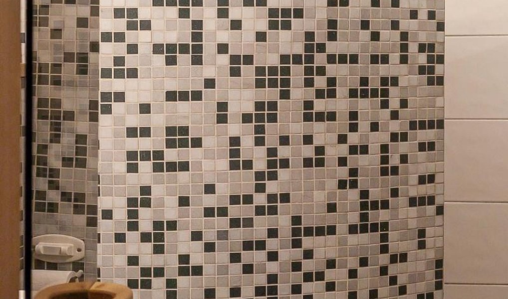 Prodej domu 240 m² s pozemkem 3 900 m², Doksy – náhled fotky 13