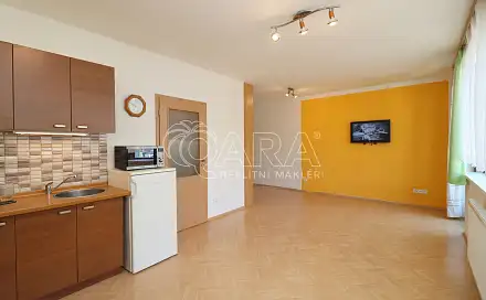 Pronájem bytu 1+kk 42 m², Praha 7