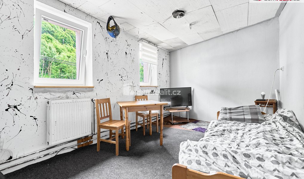 Prodej domu 380 m² s pozemkem 489 m², Jáchymov – náhled fotky 8
