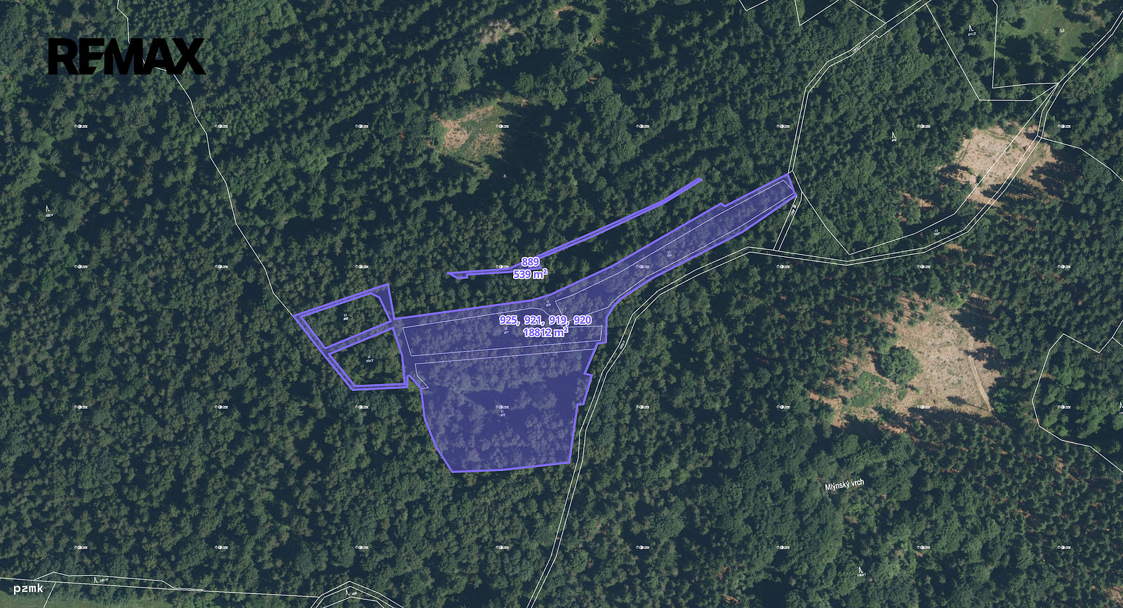Prodej lesa 8 533 m²