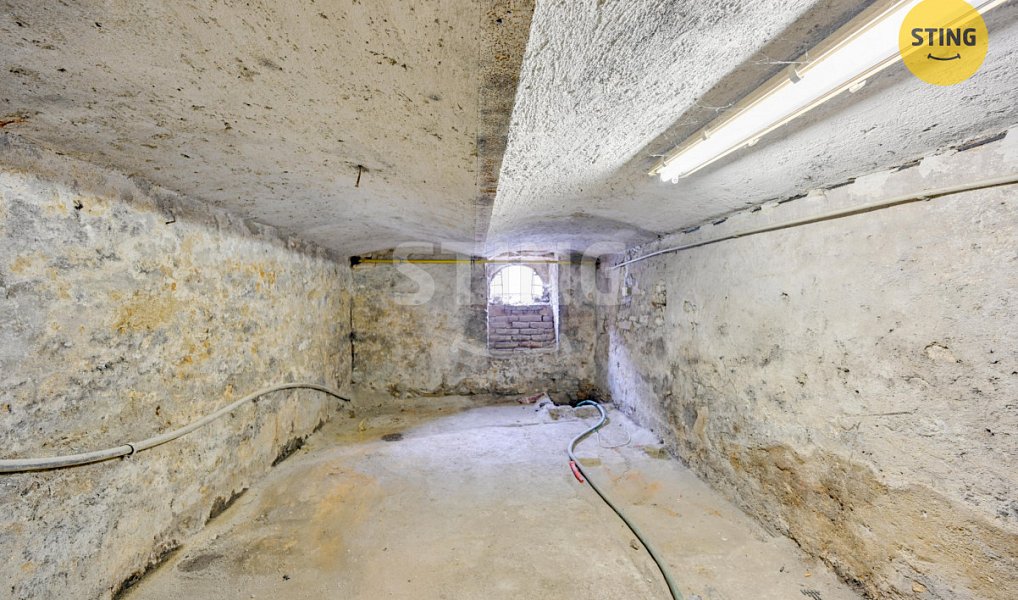 Prodej domu 150 m² s pozemkem 260 m², Skuteč – náhled fotky 18