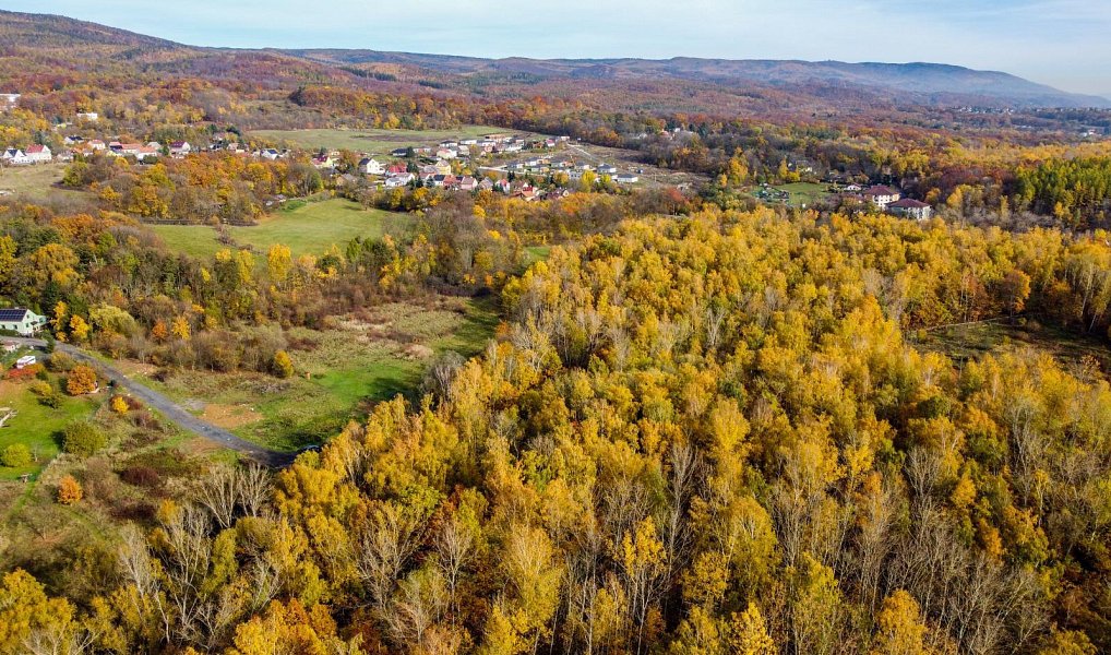 Prodej stavebního pozemku 6 468 m², Košťany – náhled fotky 9