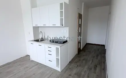 Pronájem bytu 1+1 42 m²