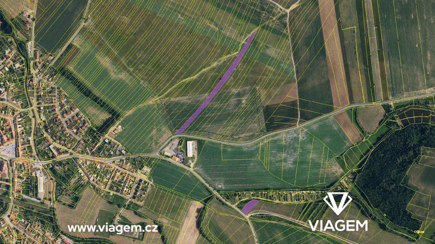 Prodej pole 3 872 m² – fotografie 4