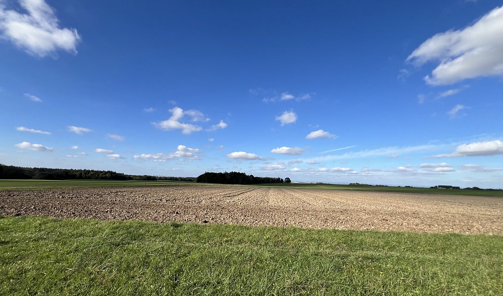 Prodej stavebního pozemku 1 434 m², Doubek – náhled fotky 11