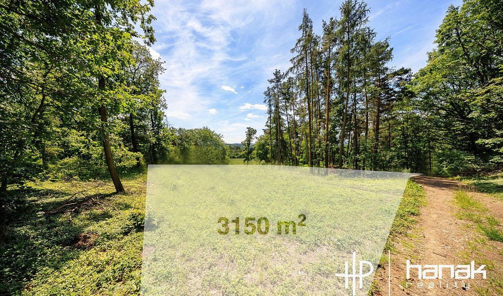 Prodej domu 127 m² s pozemkem 3 150 m², Hluchov – náhled fotky 6
