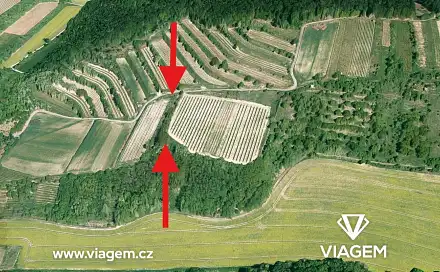 Prodej pole 2 623 m², Němčičky, okres Břeclav
