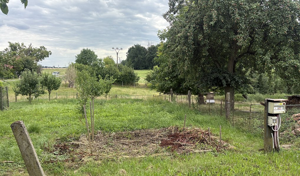 Prodej domu 297 m² s pozemkem 12 610 m², Sobotka – náhled fotky 16