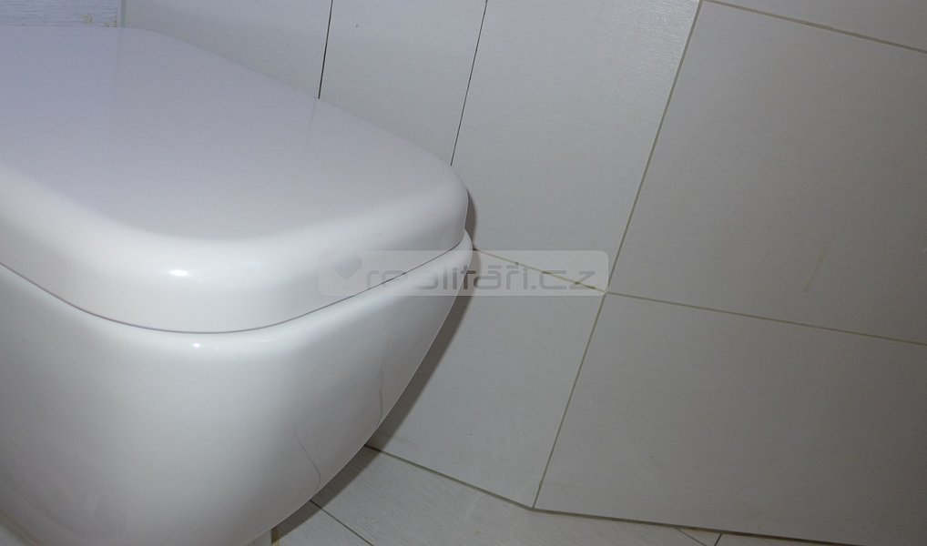 Prodej bytu 2+kk 55 m², Plzeň – náhled fotky 8