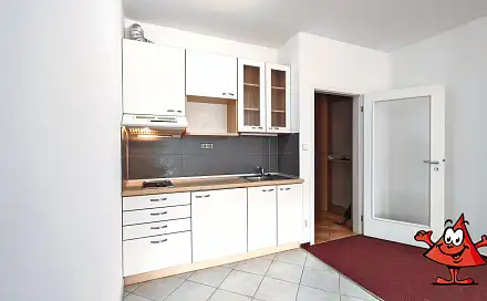 Pronájem bytu 1+kk 30 m²