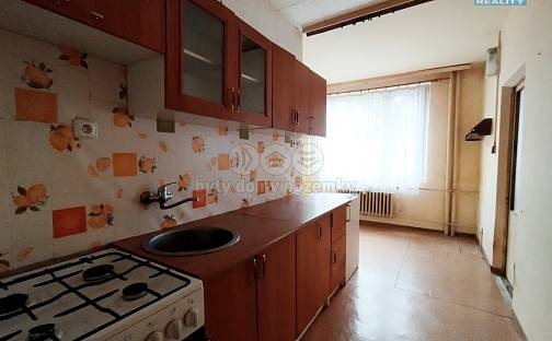 Prodej bytu 2+1 62 m², Čapkova, Litvínov - Horní Litvínov, okres Most