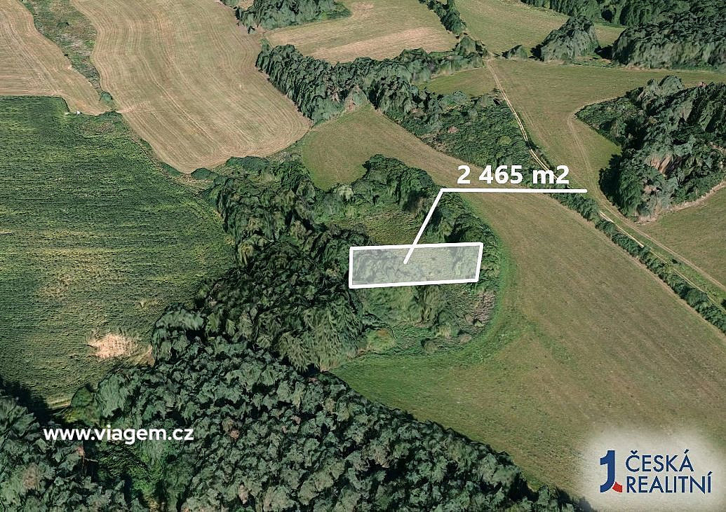 Les 2 465 m², Podíl 50 % o výměře 1 233 m² – pohled 2