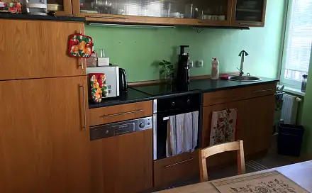Pronájem bytu 1+kk 50 m²