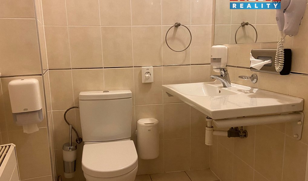 Pronájem bytu 4+kk 110 m², Plzeň – náhled fotky 13