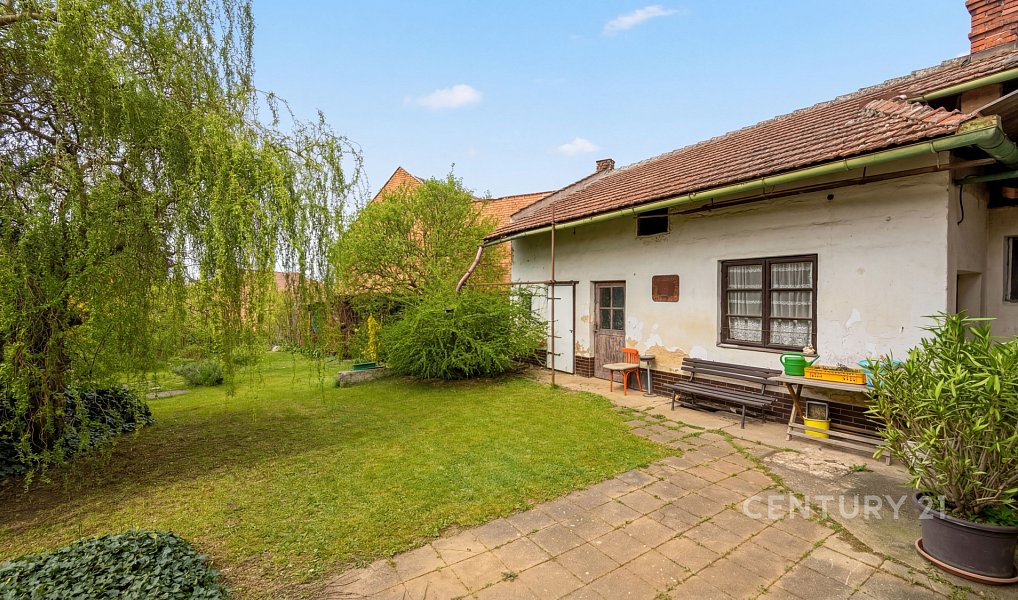 Prodej domu 246 m² s pozemkem 1 425 m², Brno – náhled fotky 4