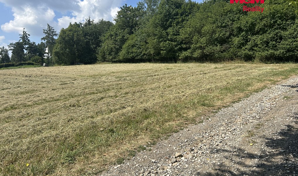 Prodej stavebního pozemku 3 689 m², Zbraslavice – náhled fotky 4