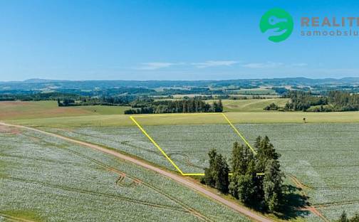 Prodej pole 40 000 m², Prosečné, okres Trutnov