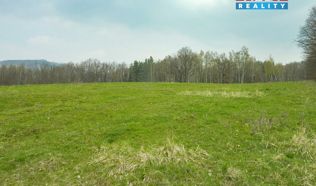 Prodej louky 55 278 m², Stružnice – náhled fotky 9