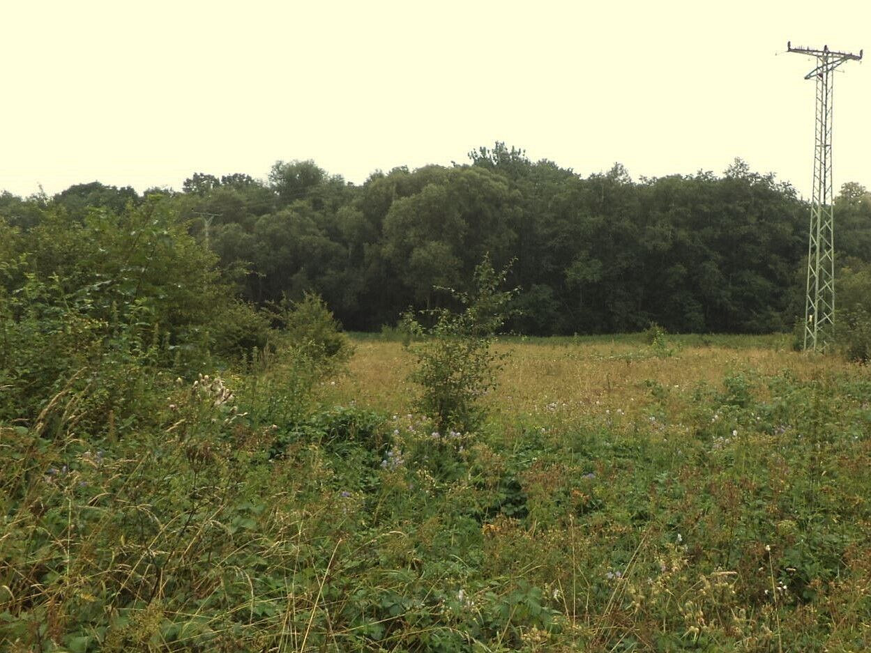 Prodej pole 28 977 m² – fotografie 4