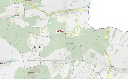 Dražba lesa 1 130 m², Píšť