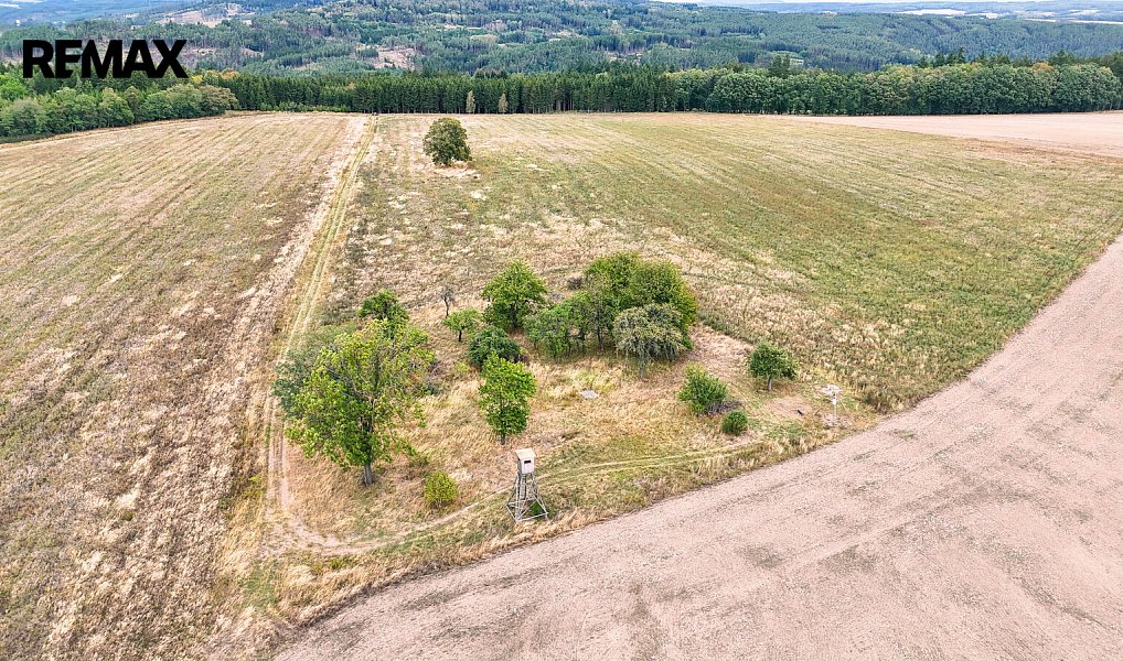 Prodej stavebního pozemku 3 633 m², Ošelín – náhled fotky 13