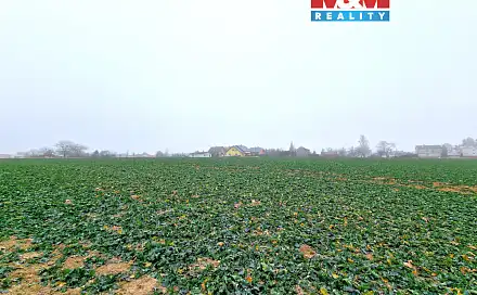 Prodej stavebního pozemku 5 343 m², Štěpánkovice, okres Opava