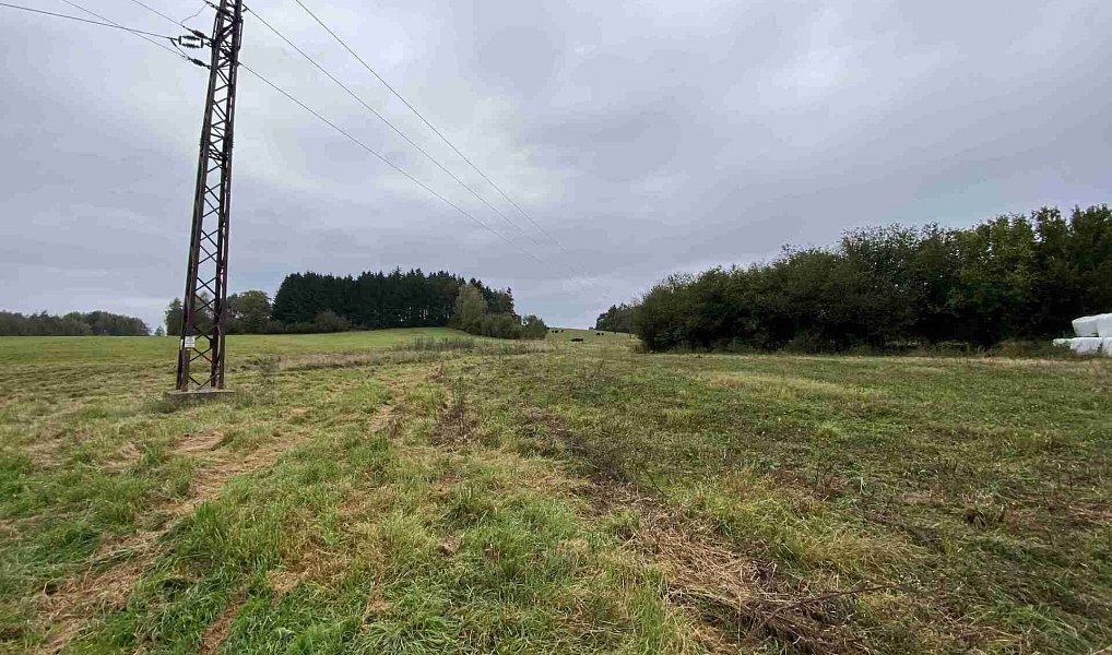 Prodej pozemku 11 798 m², Nová Bystřice – náhled fotky 2