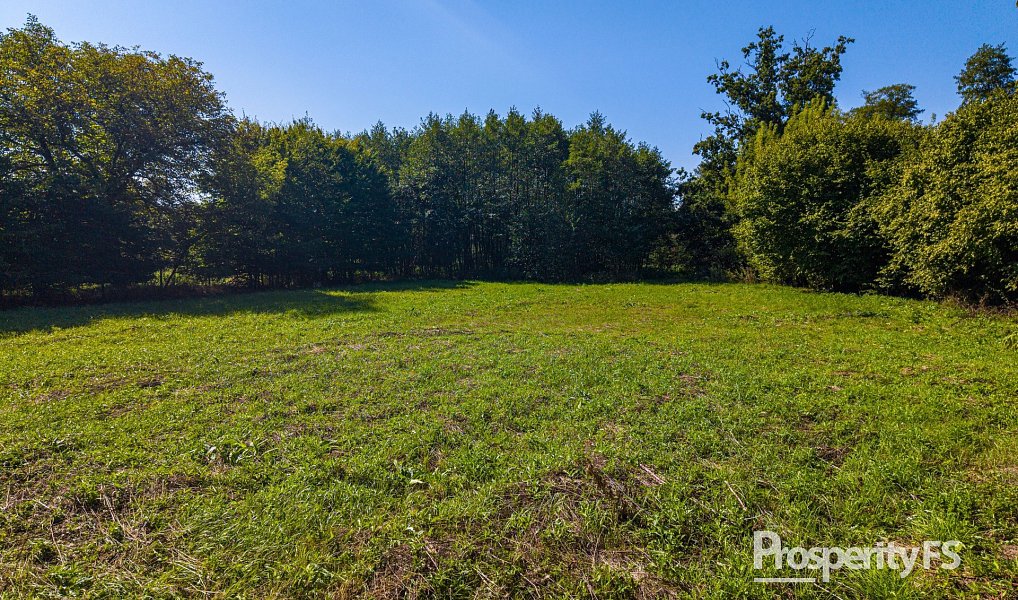 Prodej domu 267 m² s pozemkem 7 069 m², Dětmarovice – náhled fotky 21