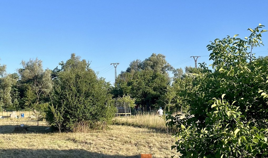 Prodej zahrady 1 597 m², Hodonín – náhled fotky 5