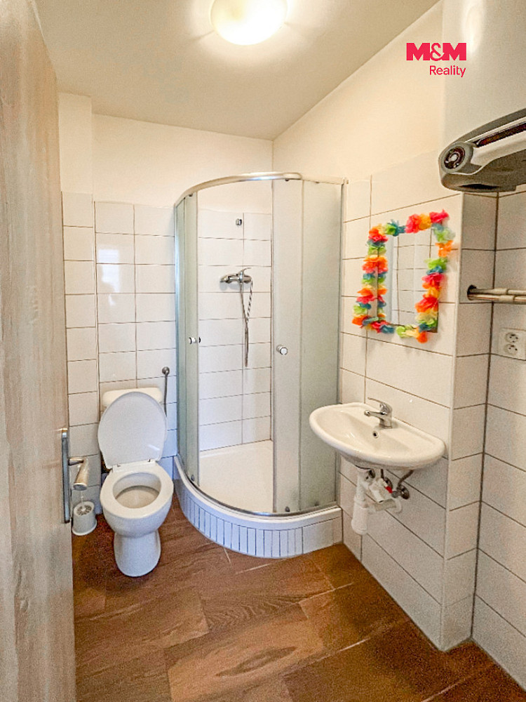 Pronájem bytu 2+1 60 m² — photo 3