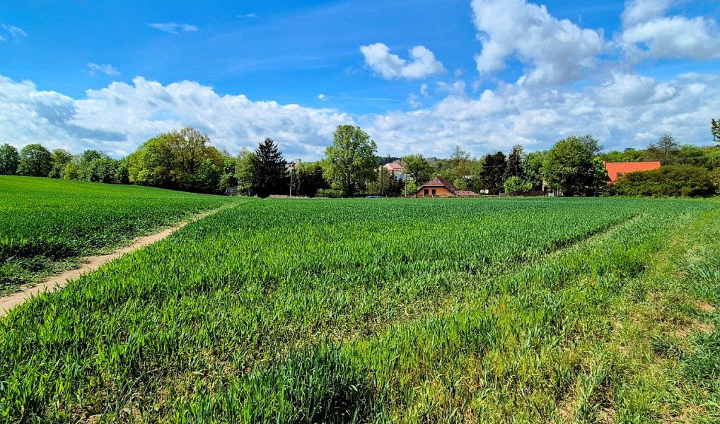 Prodej stavebního pozemku 12 385 m², Kostelec – náhled fotky 4