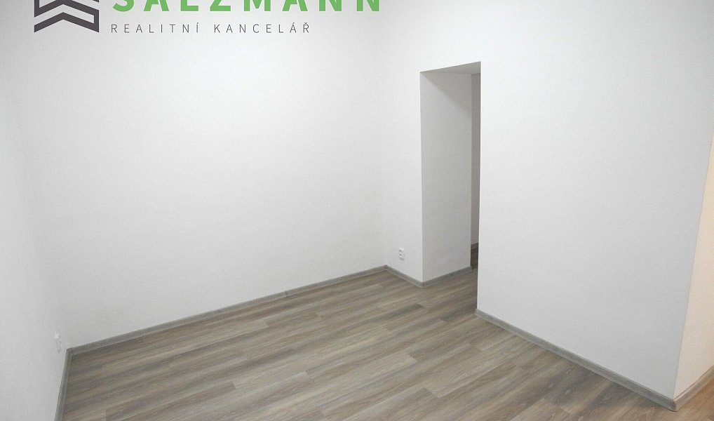 Pronájem bytu 3+kk 79 m², Plzeň – náhled fotky 9