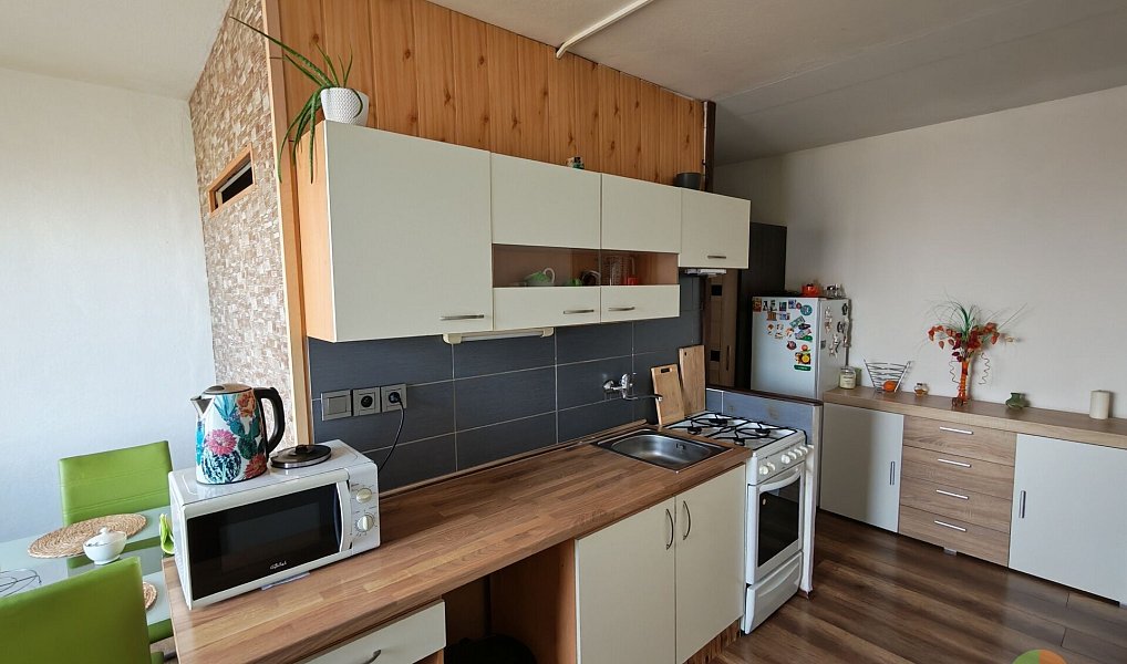 Prodej bytu 1+1 45 m², České Budějovice – náhled fotky 10