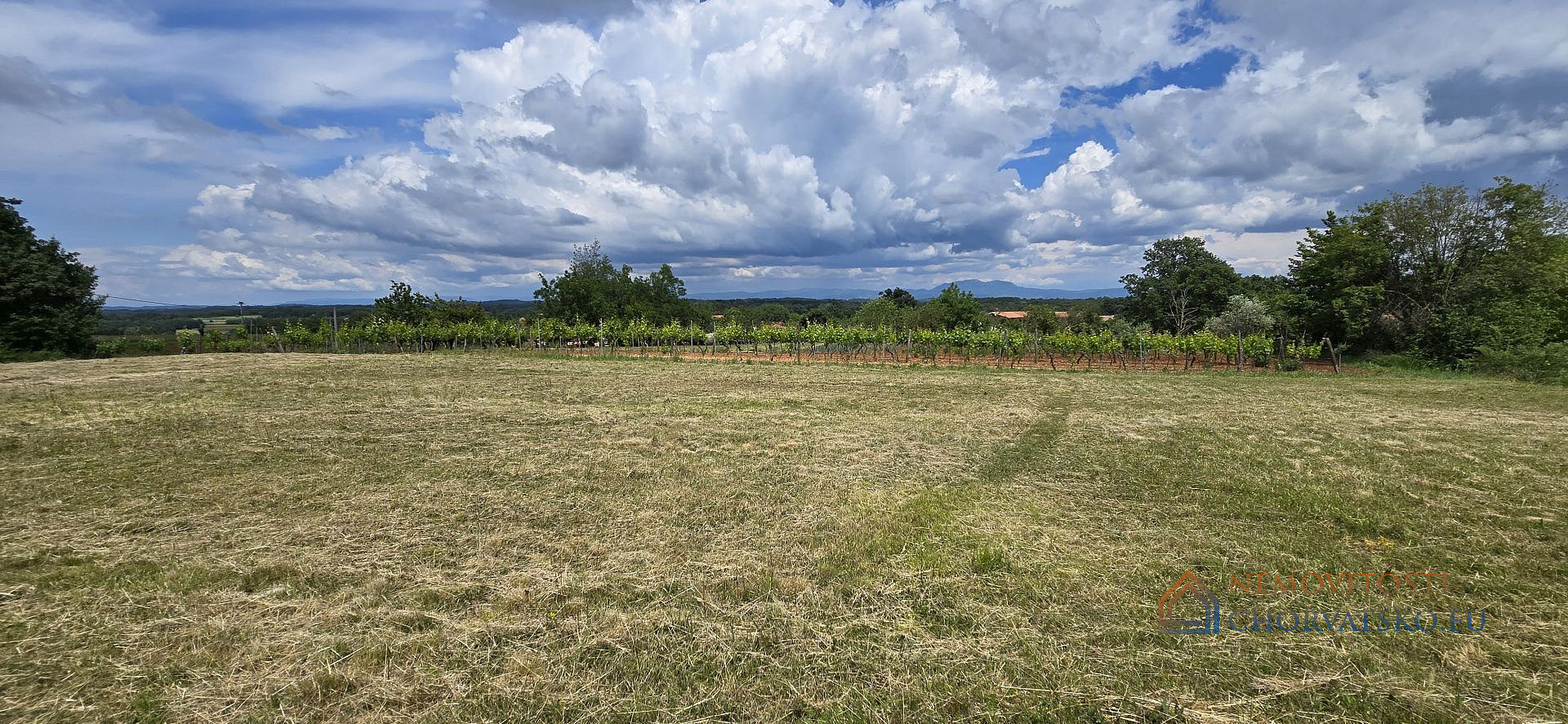 Prodej stavebního pozemku 2 160 m² – pohled 2