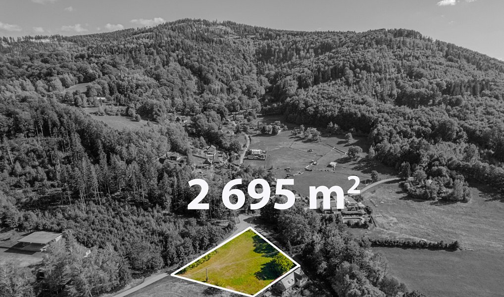 Prodej stavebního pozemku 2 695 m², Vyšní Lhoty – náhled fotky 3