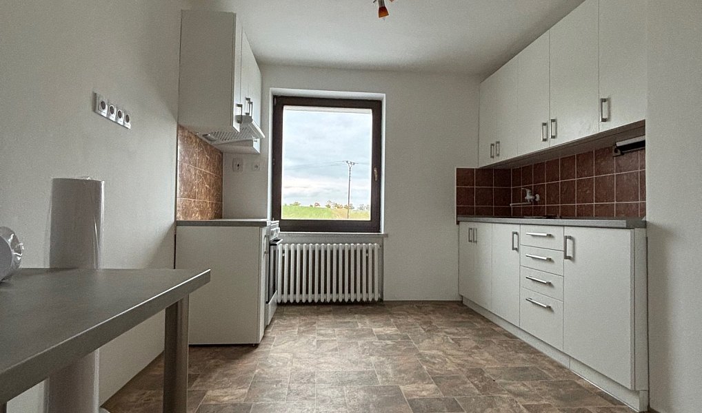 Pronájem bytu 3+1 150 m², Přáslavice – náhled fotky 3