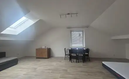 Pronájem bytu 1+1 45 m²