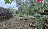 Ostatní