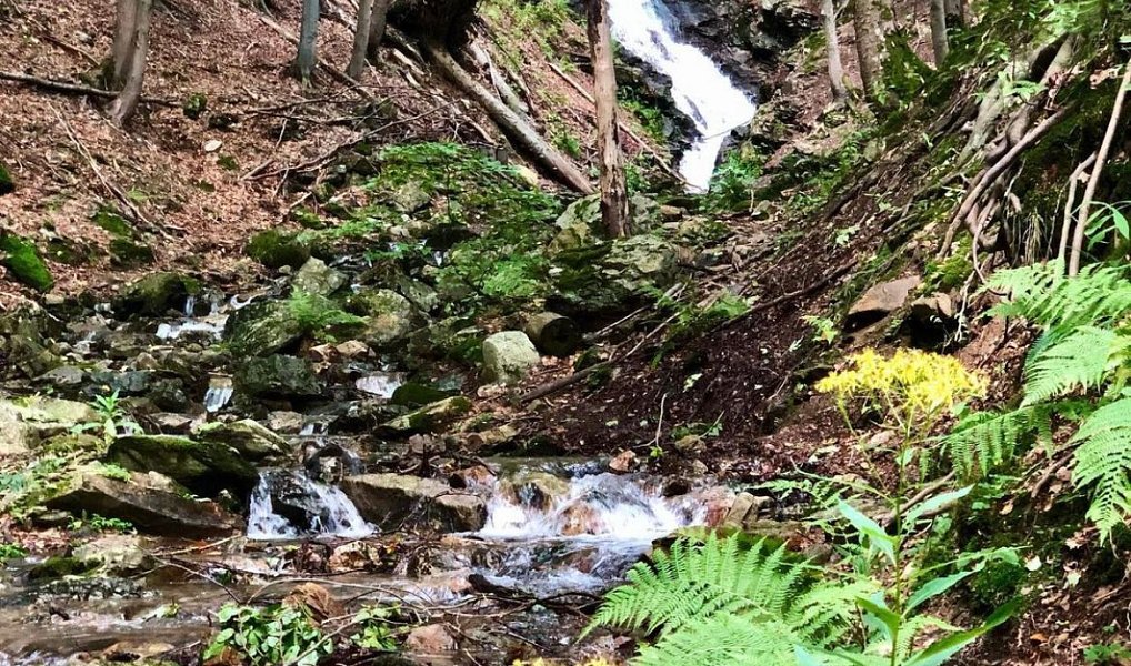 Pronájem bytu 1+kk 10 m², Rokytnice nad Jizerou – náhled fotky 7