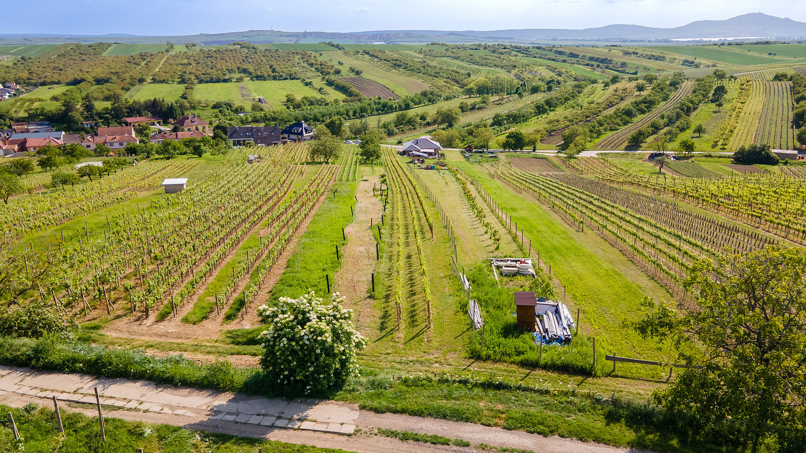 Prodej stavebního pozemku 1 528 m² – fotografie 3