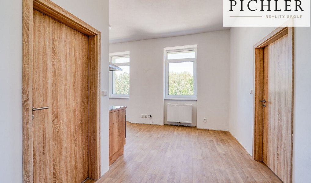 Pronájem bytu 2+kk 44 m², Horní Bříza – náhled fotky 5