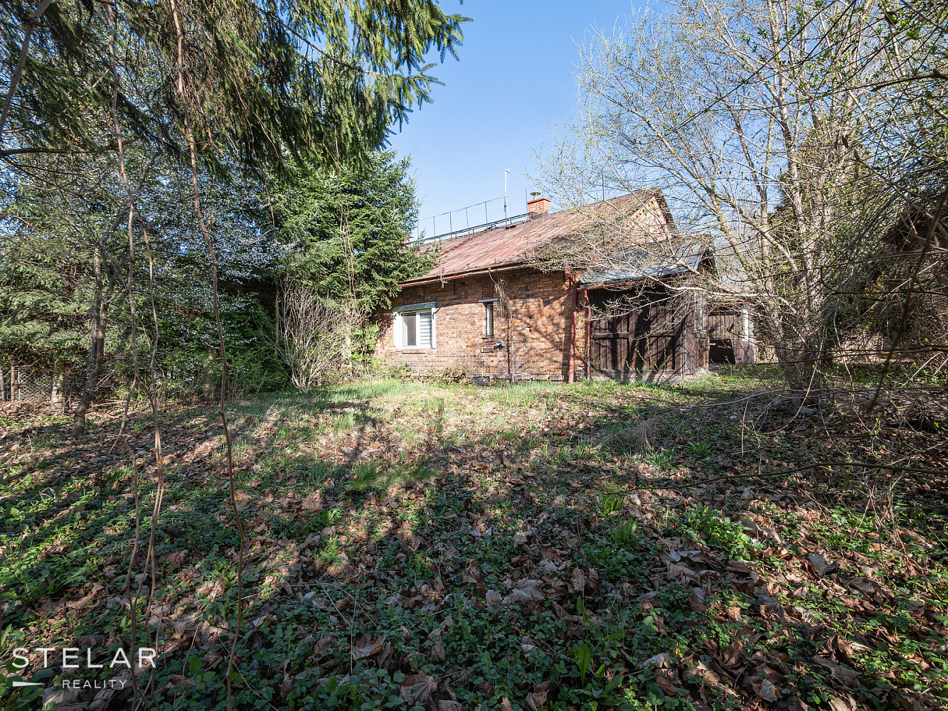 Fotka 9 z 12