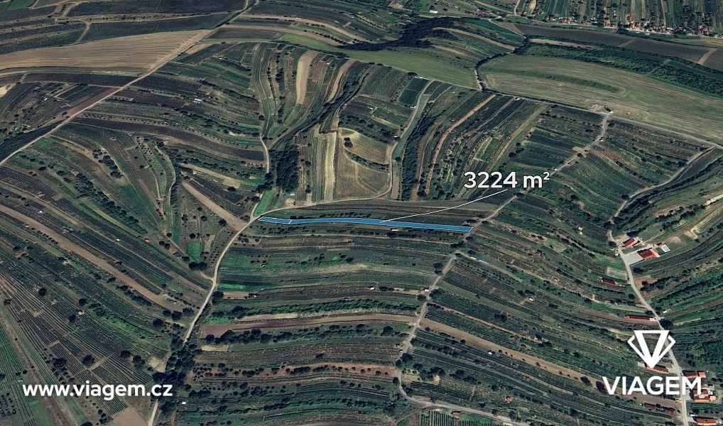 Prodej pole 604 m², Mutěnice – fotka 1 z 5