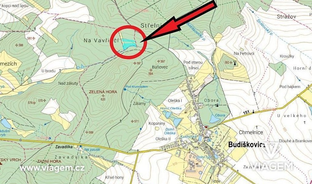 Prodej lesa 13 651 m², Dačice – náhled fotky 4