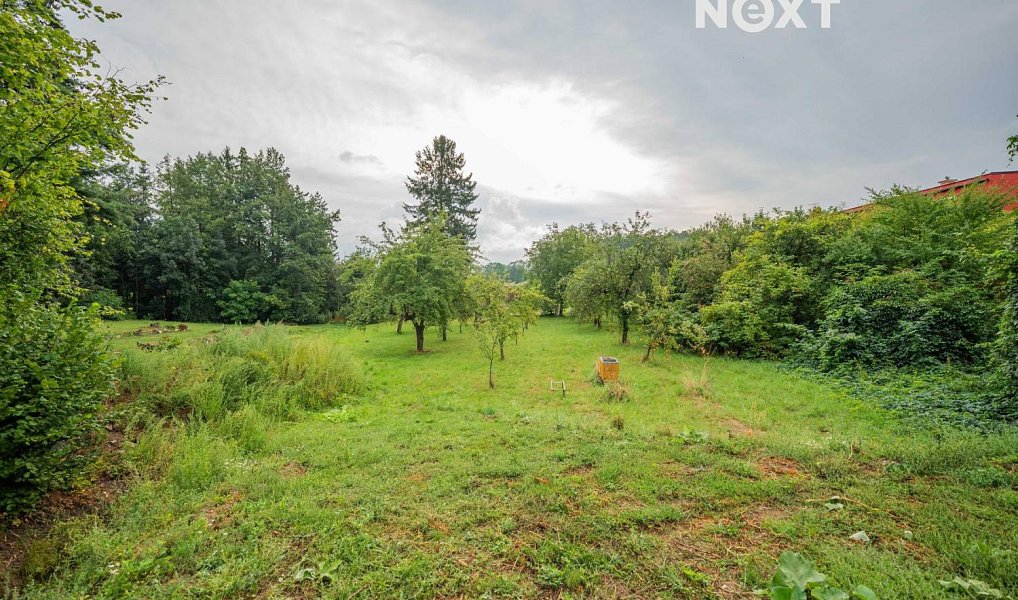 Prodej stavebního pozemku 3 456 m², Loštice – náhled fotky 10