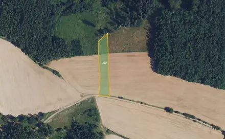 Prodej pole 37 637 m², Městečko Trnávka, okres Svitavy